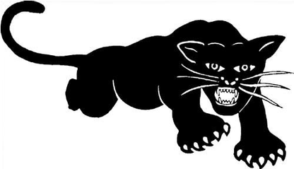 Black Panther Party logo - Ten Point Program
